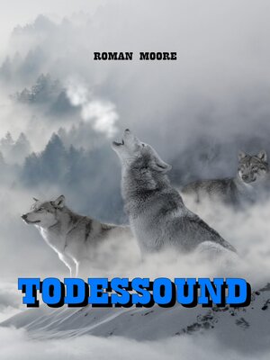 cover image of Todessound